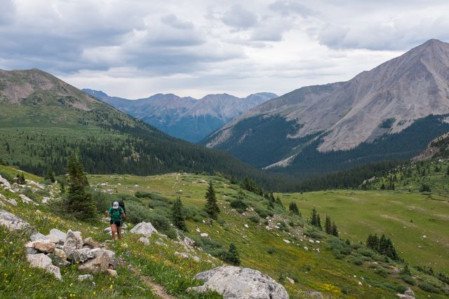 Knock traversing the Collegiate Peaks Wilderness. We learned to try and get through any sections above tree line before 1 PM, since storms are more likely to roll in then. Gray skies all day make the “do we go over this pass now?” math more difficult.