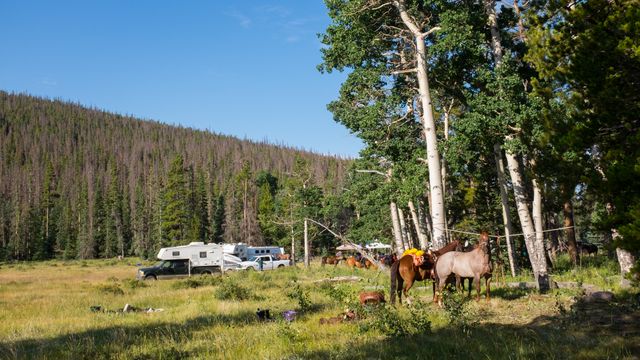 Certain sections of the CT are popular with equestrians too. We criss crossed with a large group one day, and caught up with their surprisingly large camp the next morning. (August 2, 2016)
