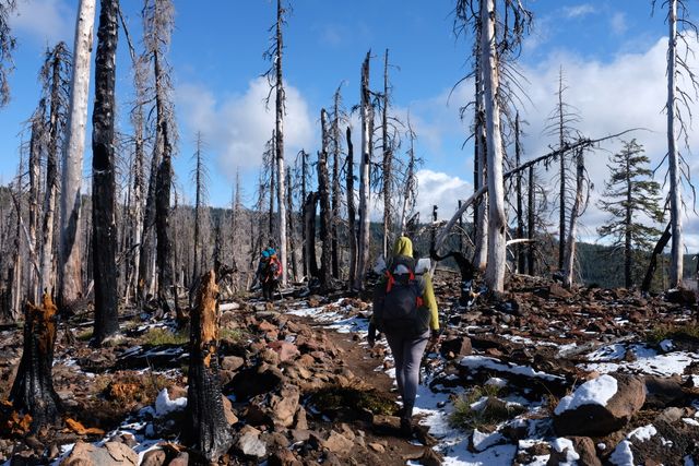 Photo may contain: Human, People, Person, Backpack, Bag, Animal, Bird, Grouse, Ptarmigan