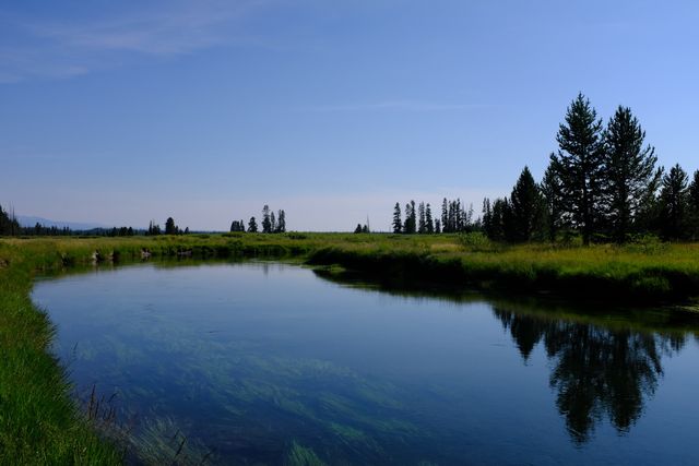 Photo may contain: Water, Nature, Outdoors, Land, Tree, Plant, Abies, Fir, Lake