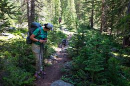 A hiker and his dog we met just south of the Tennessee Pass Trailhead. We leap frogged back and forth on the trail for a bit, and this dog just kept running between us, checking it out, veering off to check out some smells, then sprinting back to other person. Being a hiking dog sounds exhausting.