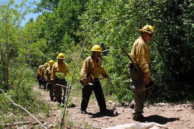 Photo may contain: Human, People, Person, Flora, Forest, Jungle, Land, Nature, Outdoors, Plant, Tree, Vegetation, Rainforest, Fireman