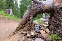 Cute (creepy?) gnomes someone has decorated the trail with on Segment 6.