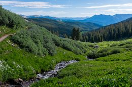 Janet’s cabin pokes from above the treeline on Searle Pass.