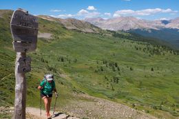 Knock climbing up Cottonwood Pass. The Collegiate Peaks Wilderness ends in a broad alpine meadow, full of wildflowers. Cottonwood Pass is accessible by car, so I was a little surprised nobody else was hiking here on such a beautiful day. (July 27, 2016)