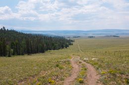 Probably the longest view of the trail ahead we had on the CT. Some where ahead of us is a group on horseback. Even crazier, we’d heard there was trail magic hiding further ahead, and we found it!