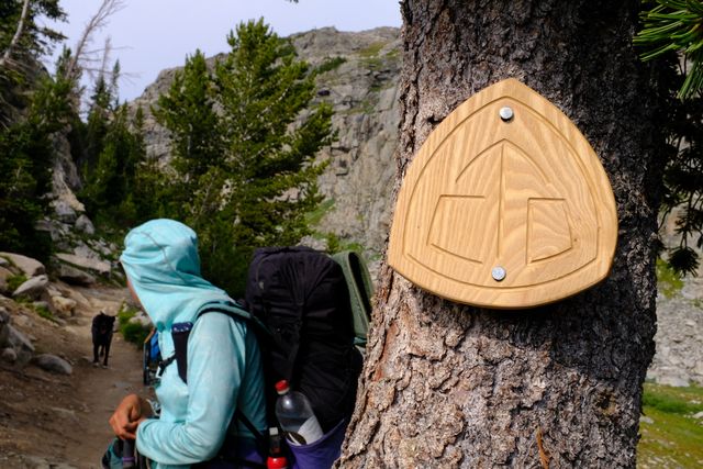 Photo may contain: Human, People, Person, Conifer, Flora, Plant, Tree, Yew, Backpack, Bag